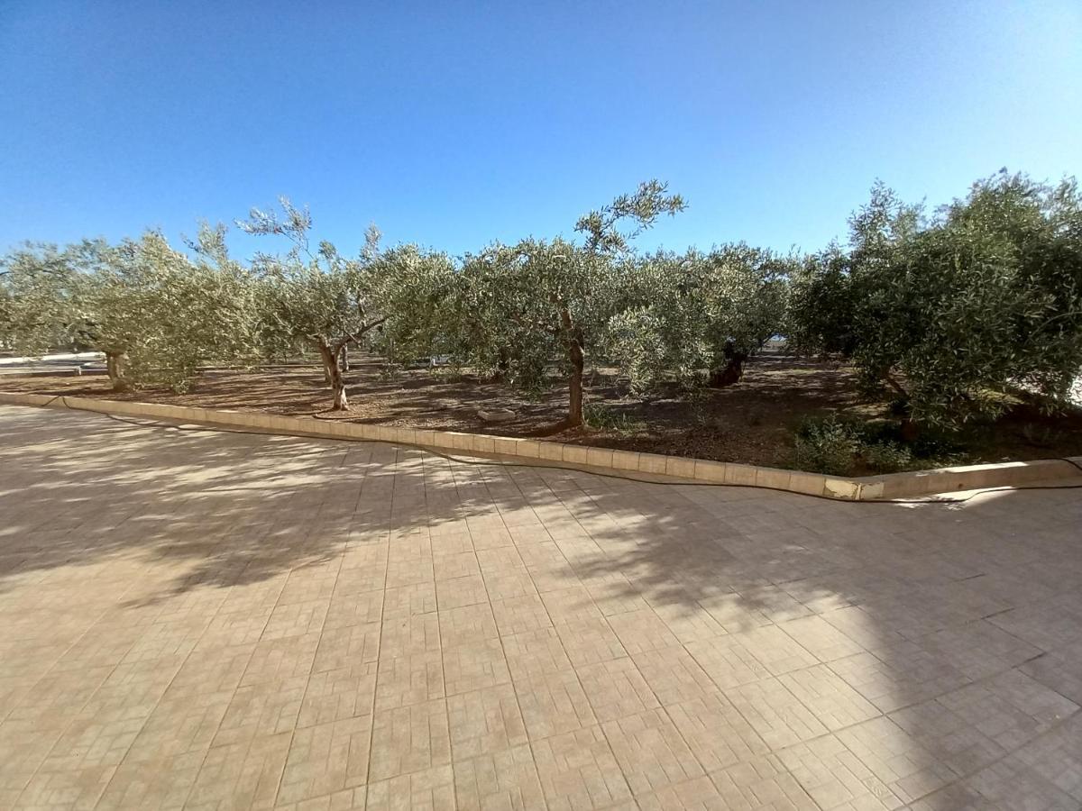 Dardiza Stay Ermioni Exteriér fotografie
